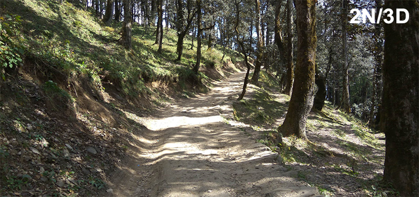 jibhi tirthan valley tour package scenic mountains